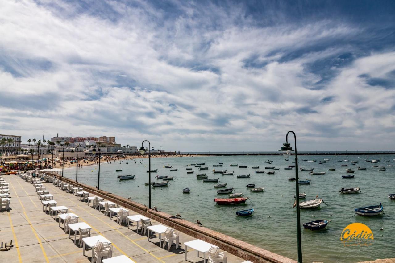 Apartamento Casa Patio La Viña -WIFI -PETFRIENDLY-ECOFRIENDLY Cádiz Exterior foto